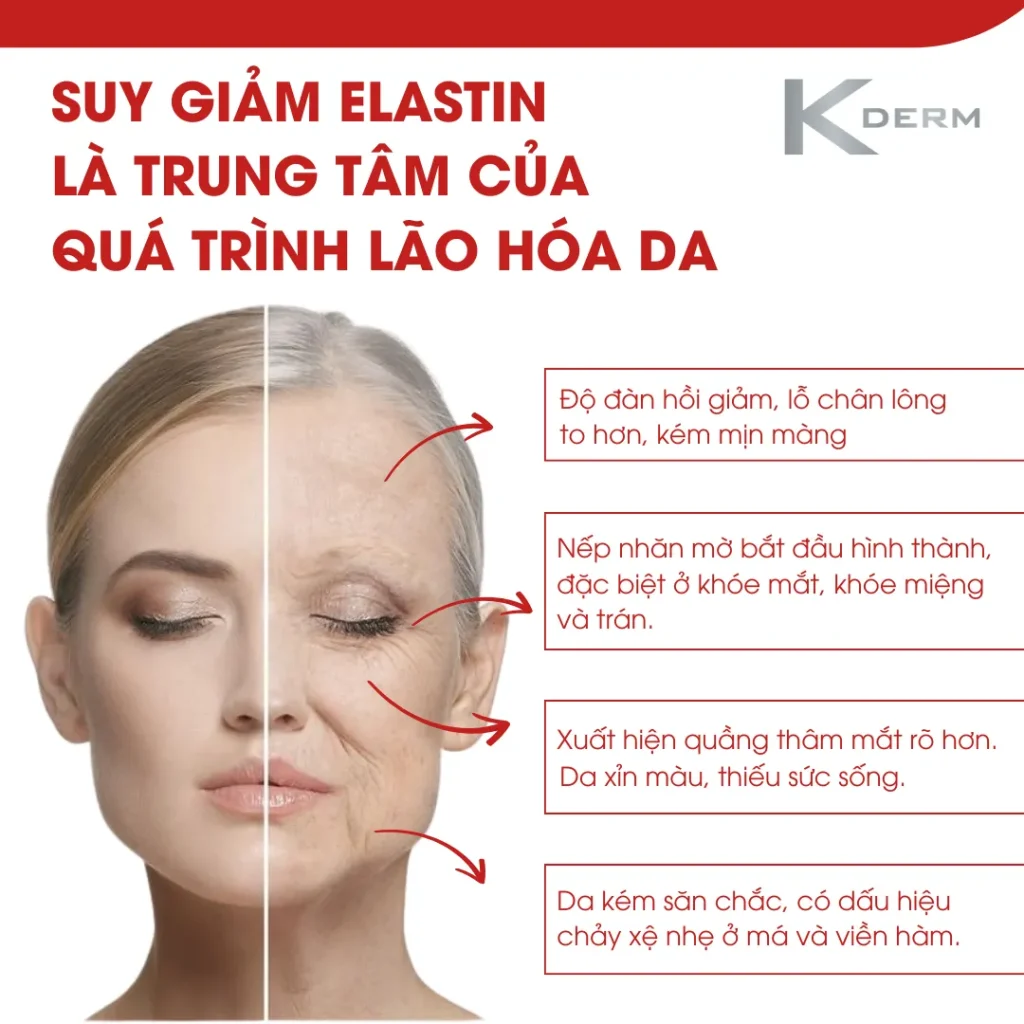 Dấu hiệu lão hóa da