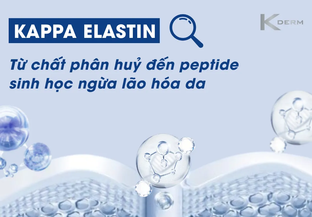 Ảnh đại diện bài viết Giải mã Kappa-elastin