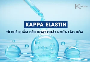 Ảnh đại diện bài viết Kappa Elastin từ phế phẩm đến hoạt chất ngừa lão hóa
